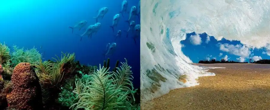 tipos de fondo arena y piedra para surf