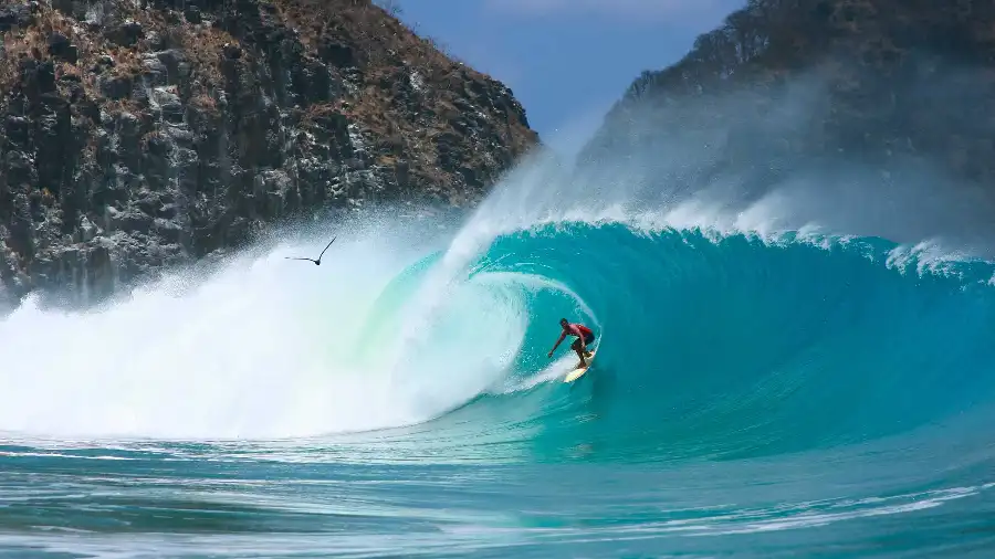 Hacer surf en Brazil