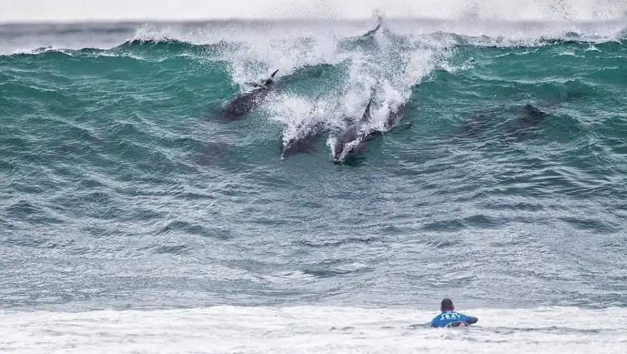 Hacer surf en Sudafrica
