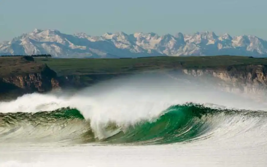 los locos surf