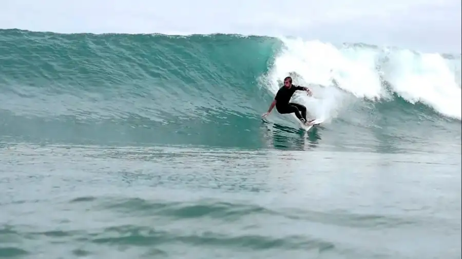 salinas surf