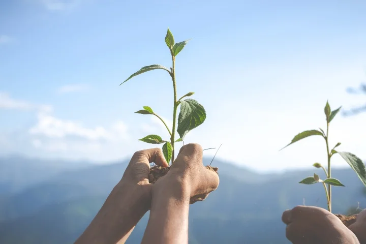 acciones para mejorar el medio ambiente